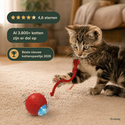 Casaly GlowBall Catnip Pro™